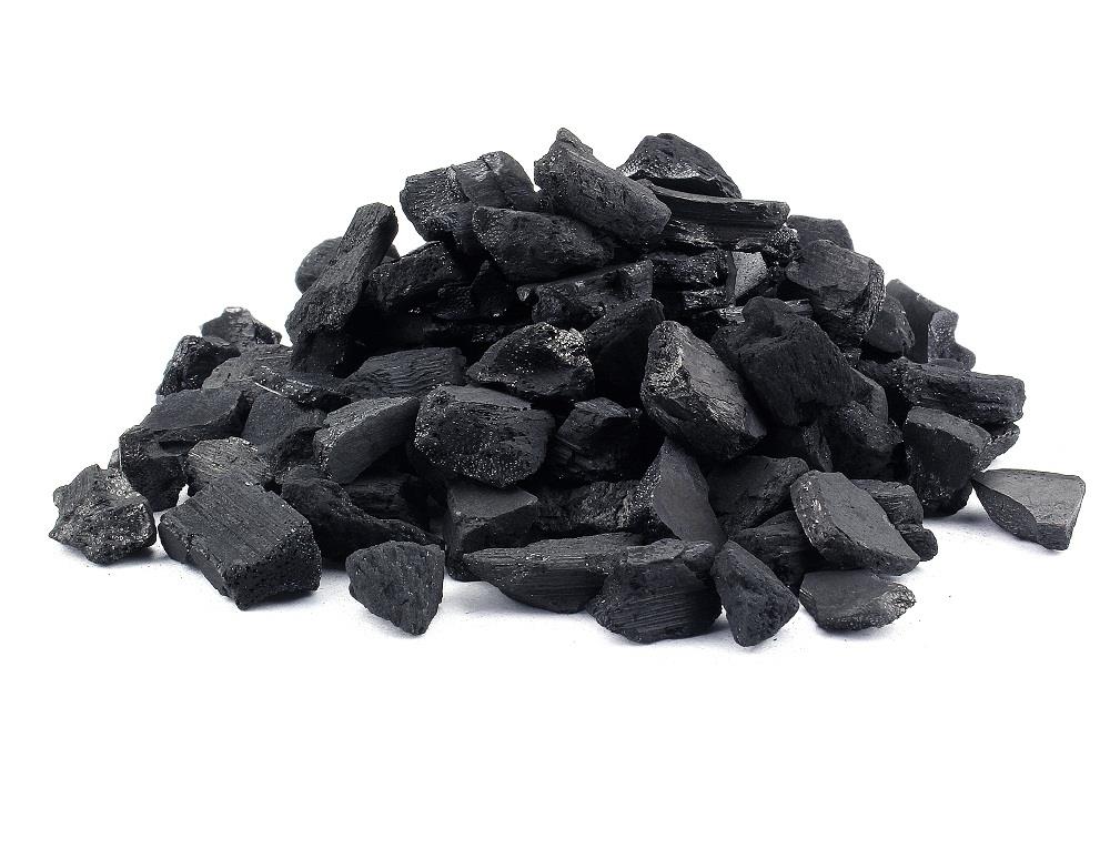 Charcoal Deodorizer Gym Bag.jpg