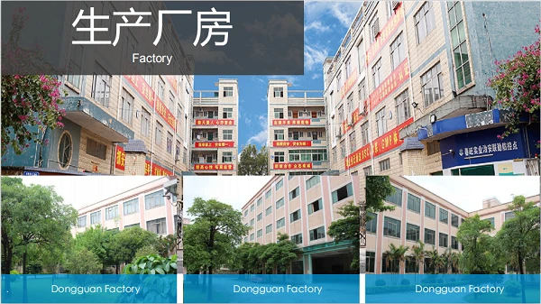 Informe d'auditoria resum de Dongguan Chunwang 2020 (BSCI)